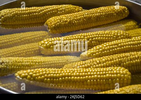 Process of cooking fresh mature corn. Sale of freshly boiled hot corn at fair. Natural yellow background. Close-up. Selective focus. Stock Photo