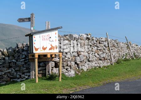 Farmer selling Free Range Eggs from an honesty box at the end of a farm lane. Cumbria, UK. Stock Photo