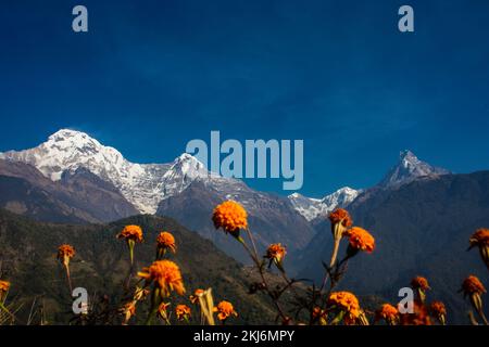 Mardi Himal, Mt. Machhapuchhare, Annapurna mountain seen during Annapurna Base Camp Trekking Nepal Stock Photo