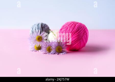 Pink, blue and white balls of thread with purple erigeron flowers on a pink background Stock Photo