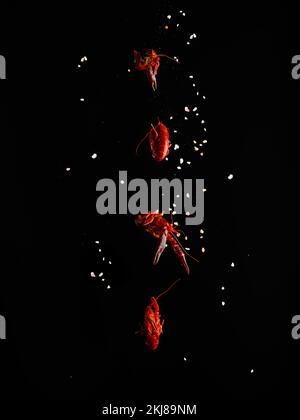 Boiled crayfish in a frozen flight on a black background with white grains of salt. Minimalism. Seafood dishes. Recipes for restaurant and home cookin Stock Photo