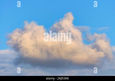 Solitary cloud of torn edges in the evening sky with an orange tint Stock Photo