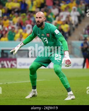 Serbia goalkeeper Vanja Milinkovic-Savic during the FIFA World Cup Group G match at the Lusail Stadium in Lusail, Qatar. Picture date: Thursday November 24, 2022. Stock Photo