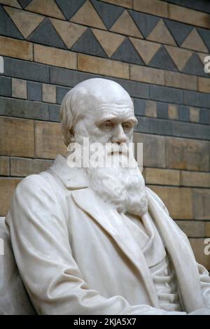 London, UK - Statue of Charles Darwin in the main hall of the Museum of Natural History Stock Photo