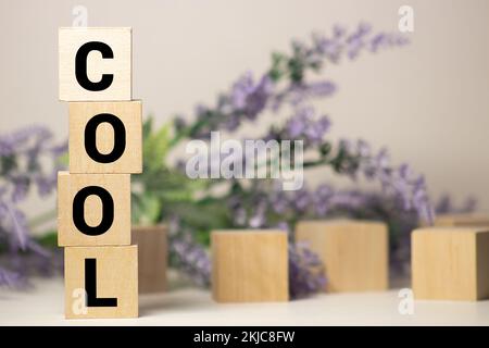 word cool made of jce block isolated on the white background Stock Photo