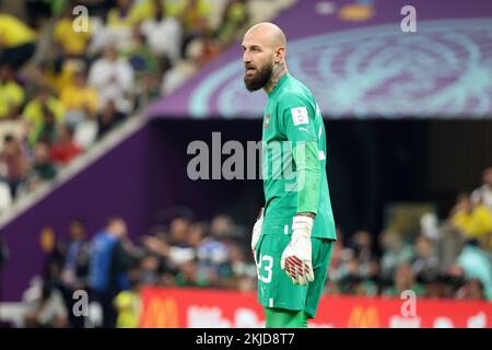 Serbia goalkeeper Vanja Milinkovic-Savic during the FIFA World Cup 2022, Group G football match between Brazil and Serbia on November 24, 2022 at Lusail Stadium in Al Daayen, Qatar - Photo Jean Catuffe / DPPI Credit: DPPI Media/Alamy Live News Stock Photo