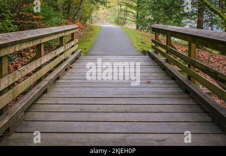 Hiking trail and view of beautiful rainforest in Canada. Eco path wooden walkway in the forest. Ecological trail path. Wooden bridge pathway boardwalk Stock Photo