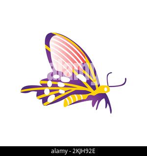 Colorful butterfly Vector illustration, on a white background Stock Vector
