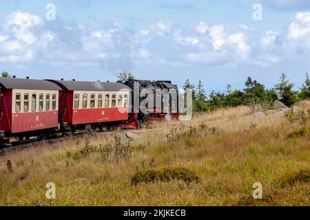 Steam train, Brockenbahn, narrow-gauge railway, Brocken, Harz, Saxony-Anhalt, Germany, Europe Stock Photo
