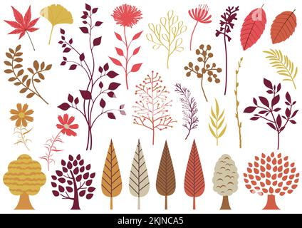 Set Of Botanical Elements Isolated On A White Background. Vector Illustration. Stock Vector