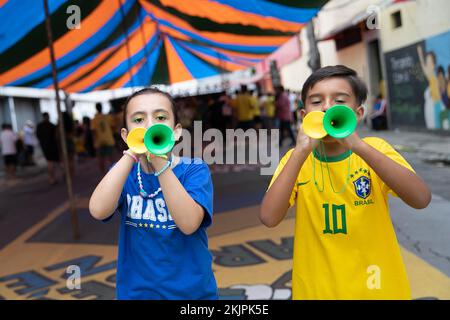 Rio De Janeiro, Brazil. 24th Nov, 2022. Fans cheer at a fan zone in Rio de Janeiro, Brazil, on Nov. 24, 2022. Credit: Wang Tiancong/Xinhua/Alamy Live News Stock Photo