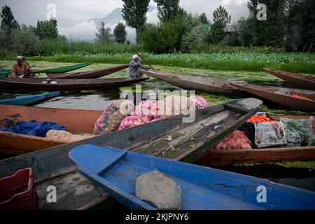 India, Srinagar, 2022-07-29. A man rows his boat in the floating market of Srinagar to sell his vegetables. Photograph by Alexander BEE / Hans Lucas. Stock Photo