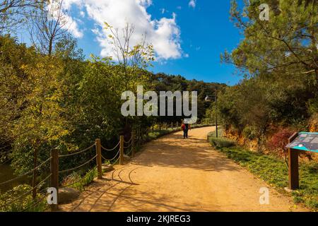 Ataturk City Forest or Ataturk Kent Ormani or Haciosman Park in Istanbul. Istanbul Turkey - 10.29.2022 Stock Photo