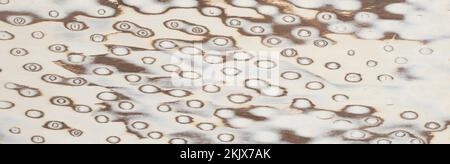 Root Exotic wood panel texture pattern Stock Photo
