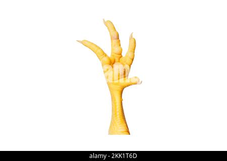 Yellow chicken paw isolated on white Stock Photo
