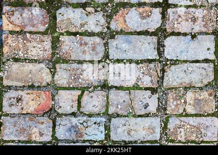 Grunge cracked orange brick floor with moss pine needles stones sand textured background. Stock Photo