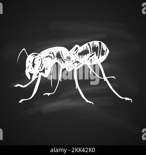 Illustration of a white silhouette ant on black background painted a gel pen Stock Vector