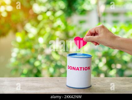 Hand putting a heart in a piggy bank donation on out of focus tree background.. Concept of charity donation. Stock Photo