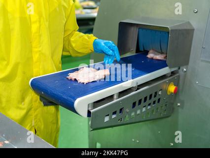 Chicken meat on conveyor to cutting size machine in modern process. Stock Photo