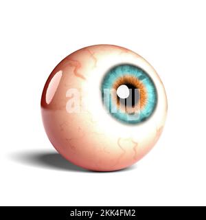 Side view of realistic human eyeball isolated on wihte background, 3D rendering Stock Photo