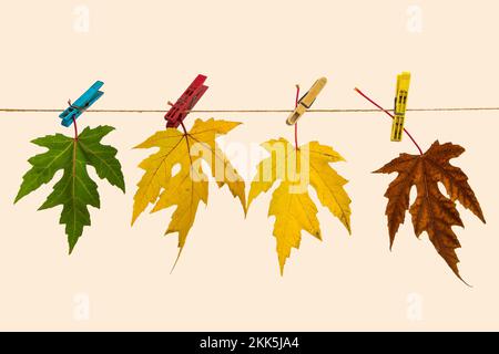 Autumn colored leaves on a string as symbol of time passing by Stock Photo
