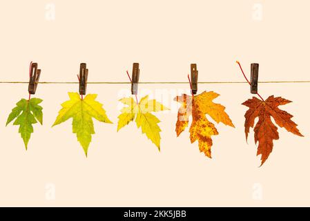 Autumn colored leaves on a string as symbol of time passing by Stock Photo