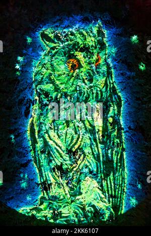 Owl projection on tree at Light Up Trails at Sir Harold Hillier Gardens in Romsey, Hampshire UK in November Stock Photo