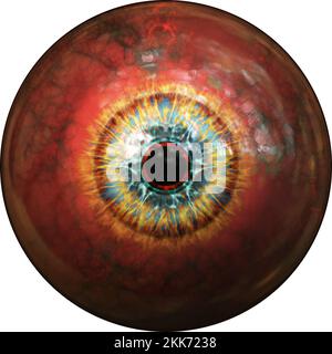 Illustration of a human iris. Digital artwork creative graphic design. Stock Photo