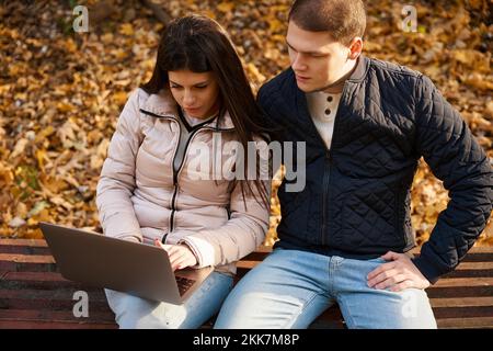 Focused young people are reading something in a laptop Stock Photo