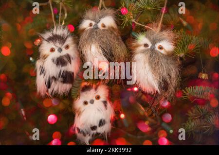 Cute little owl Christmas ornaments made with feathers. Stock Photo
