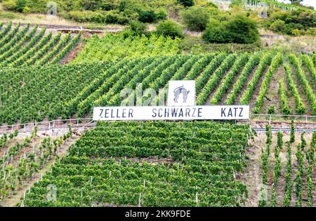 Zell, Germany - July 25, 2020: scenic view to vineyards with brand Zeller schwarze Katze ( black cat of Zell) at the vineyard. Stock Photo