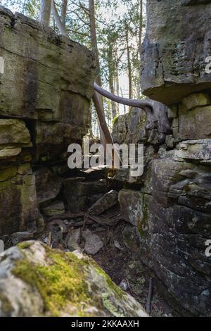 A narrow gap separates two large sections of limestone Stock Photo