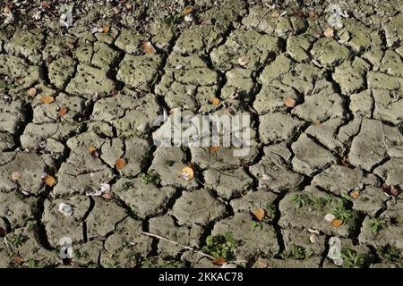 Dry creek bed with cracks and fissures in the mud due to climate change Stock Photo