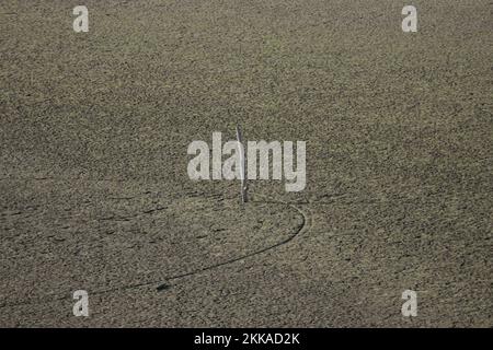 Trunk of a dead tree in the middle of a beach with animal footprints Stock Photo