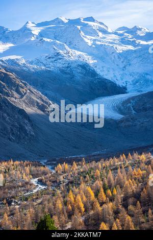 Majestic views of Morteratsch glacier and snow-capped mountains in the Swiss Alps with meandering river and golden larch trees below Stock Photo