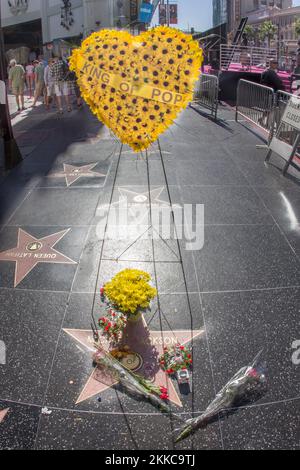 Los Angeles, USA - June 26, 2012: Michael Jackson's star on the Hollywood Walk of Fame as fans  remember the artist and leave messages to say goodbye Stock Photo