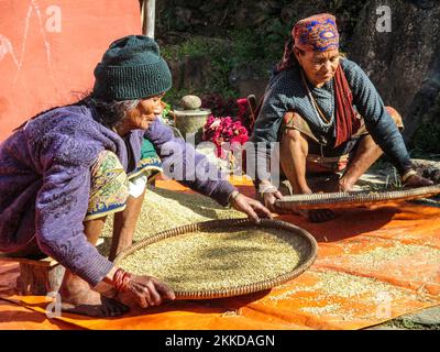 BHAKTAPUR, NEPAL - DEC 2, 2013: old nepalese women clean the corn in traditional way with baskets. Handmade threshing is still common in Nepal. Stock Photo