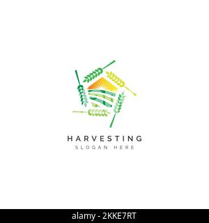 Wheat Grass Farming Logo Vector Symbol Icon Pentagon Design Graphic Illustration Stock Vector