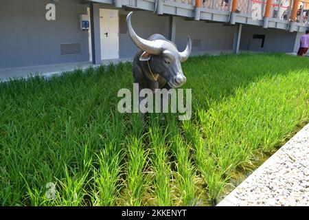 Close-up view of the statue of ox standing on the green rice paddle in front of the Thailand Pavilion of EXPO Milano 2015 under the bright sun. Stock Photo
