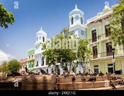 PIgeons in the Plaza de Armas with City Hall in the background in Old San Juan, on the tropical Caribbean island of Puerto Rico, USA. Stock Photo