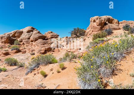Rock formations shaped like faces with yellow flower in the foreground at the Grand Staircase-Escalante National Monument in Utah, USA Stock Photo