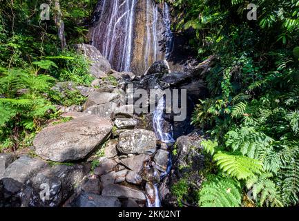 La Coca Falls in El Yunque Rainforest National Park, on the tropical Caribbean island of Puerto Rico, USA.. Stock Photo