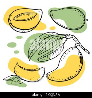 MANGO Abstract Delicious Tropical Fruits Whole And Slice With Leaves For Design Of Grocery Store And Restaurant Menu Hand Drawn In Sketch Vector Illus Stock Vector