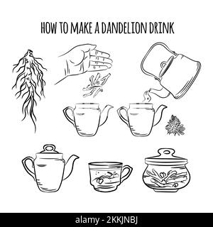 MAKE A DRINK FROM DANDELION Pharmacy Benefits Medical Plant Botanic Nature Health Vector Illustration Monochrome Hand Drawn Clip Art Set For Print Stock Vector