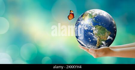 Hand holding tree on the world with sunny green grass bokeh background. Save clean planet, Save world and environment, Ecology, World Earth Day. Stock Photo