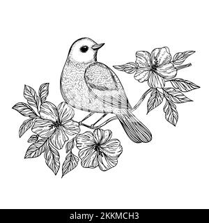 NIGHTINGALE Songbird Sits On A Branch With Blooming Flowers Monochrome Hand Drawn Sketch In Chinese Style Cartoon Clip Art Vector Illustration For Pri Stock Vector