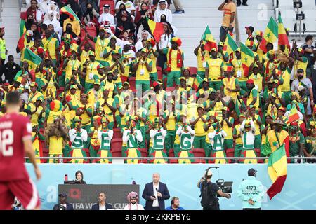 Doha, Qatar. 25th Nov, 2022. Supporters of Senegal during the FIFA World Cup 2022, Group A football match between Qatar and Senegal on November 25, 2022 at Al Thumama Stadium in Doha, Qatar - Photo Jean Catuffe / DPPI Credit: DPPI Media/Alamy Live News Stock Photo