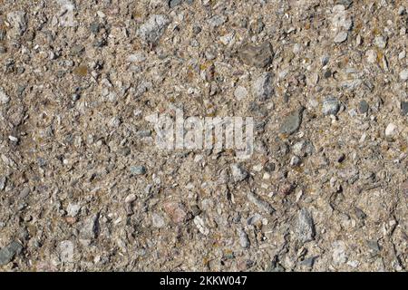 stone wall texture. particles of shells stick out of the stone, the texture of the wall after the rays of the sun and sea water Stock Photo