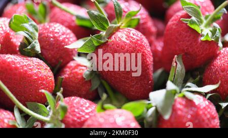 Juicy red whole strawberries with green leaves Stock Photo