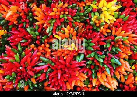 Background of multi colored peppers Stock Photo